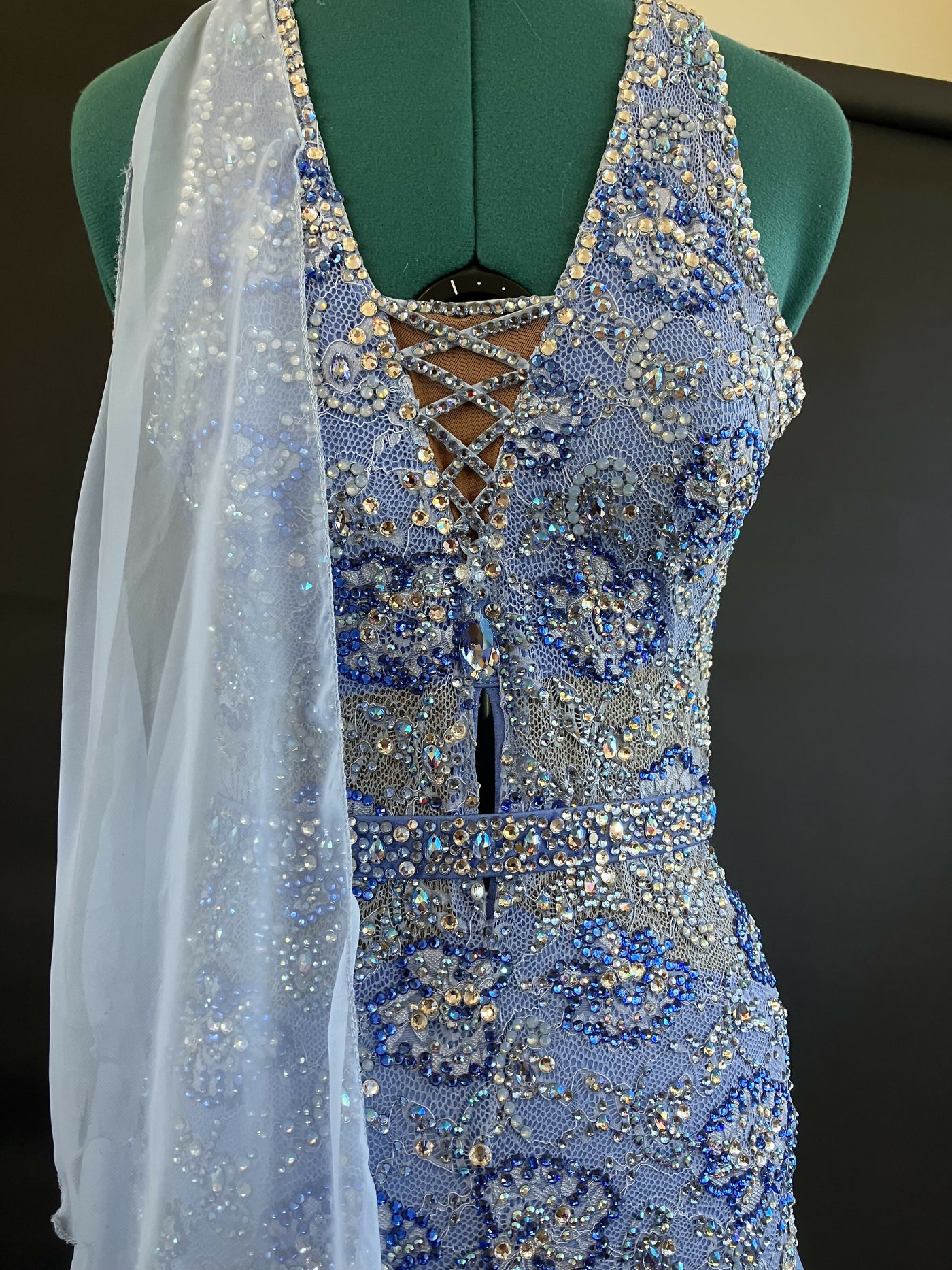 Elegant Bluebell