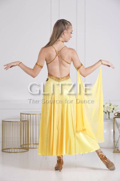 Sponsor Dress for Ballroom or American Smooth Dancewear