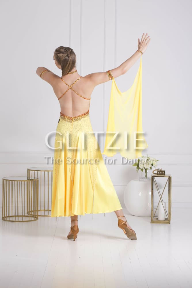 Sponsor Dress for Ballroom or American Smooth Dancewear