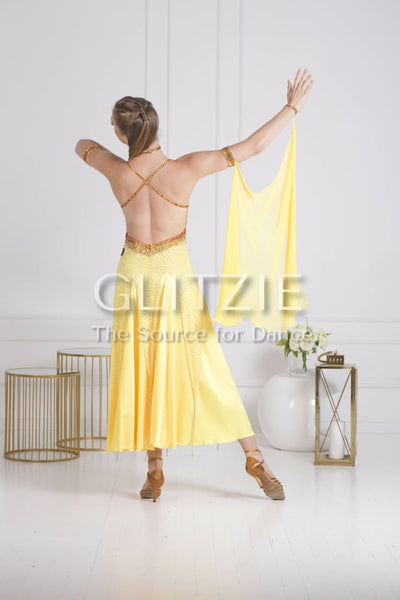 Sponsor Dress for Ballroom or American Smooth Dancewear