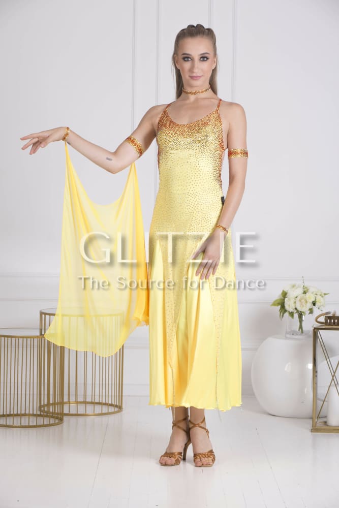 Sponsor Dress for Ballroom or American Smooth Dancewear