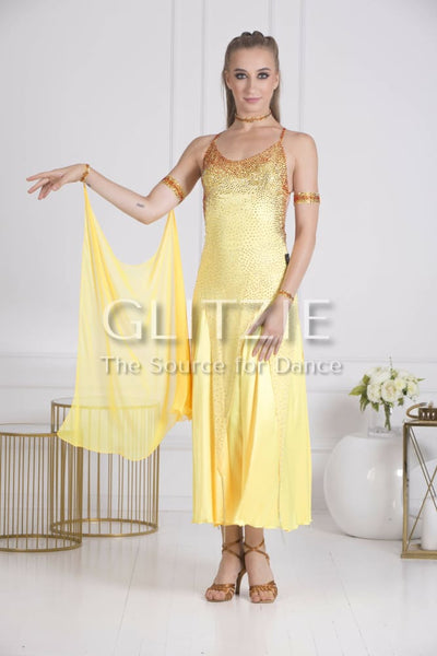 Sponsor Dress for Ballroom or American Smooth Dancewear