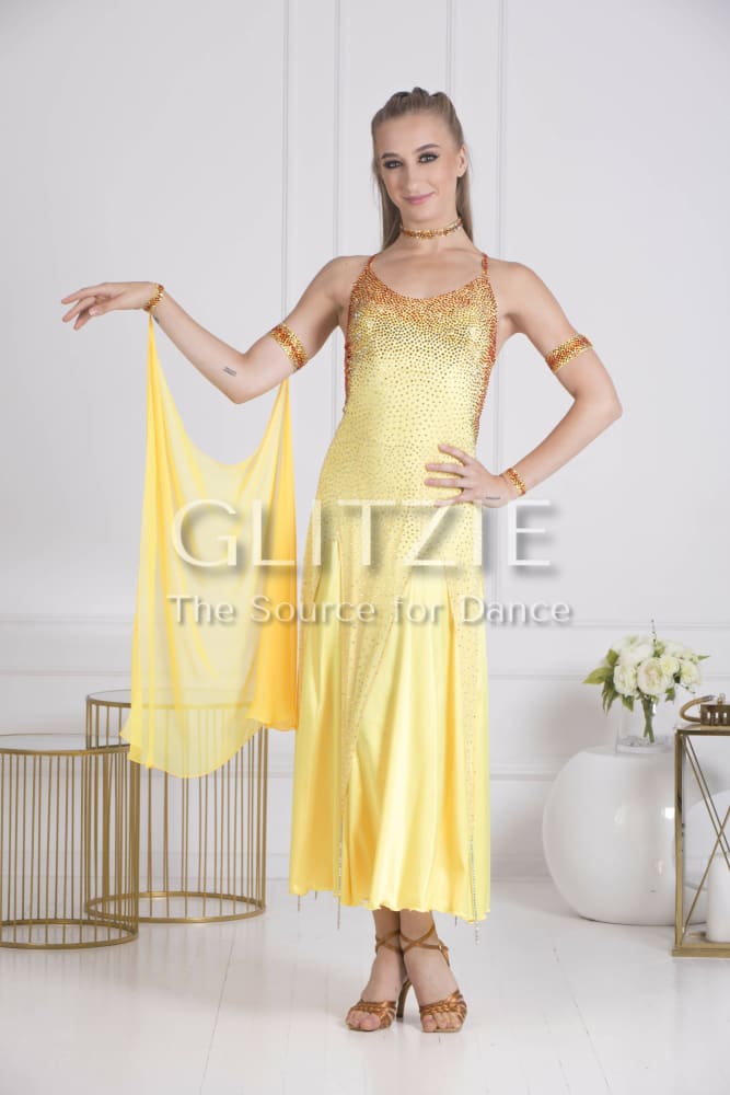 Sponsor Dress for Ballroom or American Smooth Dancewear