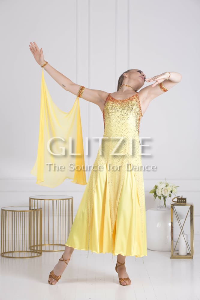 Sponsor Dress for Ballroom or American Smooth Dancewear
