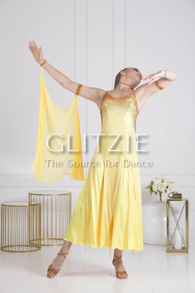 Sponsor Dress for Ballroom or American Smooth Dancewear