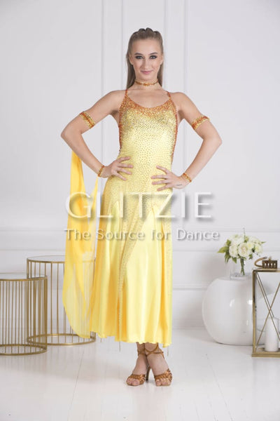 Sponsor Dress for Ballroom or American Smooth Dancewear