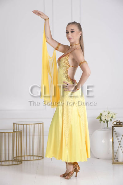 Sponsor Dress for Ballroom or American Smooth Dancewear